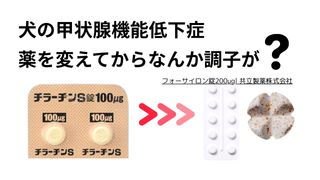 フォーサイロン錠200μg/共立製薬株式会社