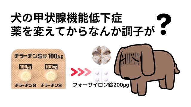 ステロイド注射は、やりすぎると治りにくくなる！