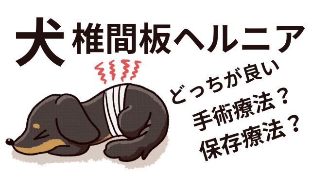 【体験談】うちの愛犬、椎間板ヘルニアになっちゃった。手術なしで治したい！飼い主ができること