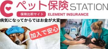 ペット保険比較サイトで愛犬・愛猫の保険料金、補償内容を比較。人気11社のおすすめ動物保険を掲載中「ペット保険STATION」